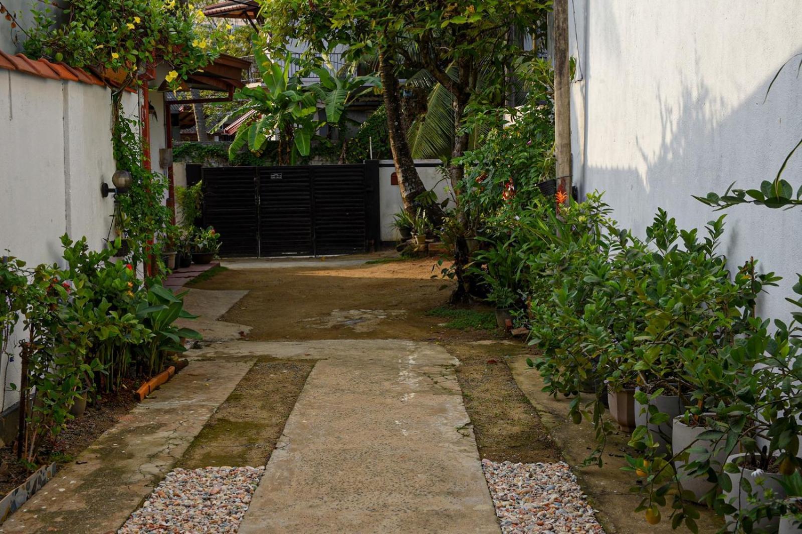 4Ty Two Homestay Галле Экстерьер фото